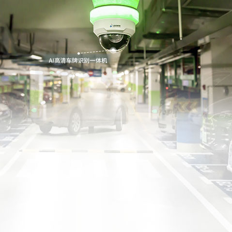 日本欧美久久久久免费播放网