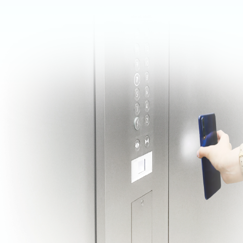 日本欧美久久久久免费播放网