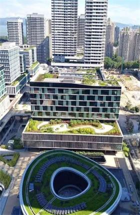 日本欧美久久久久免费播放网